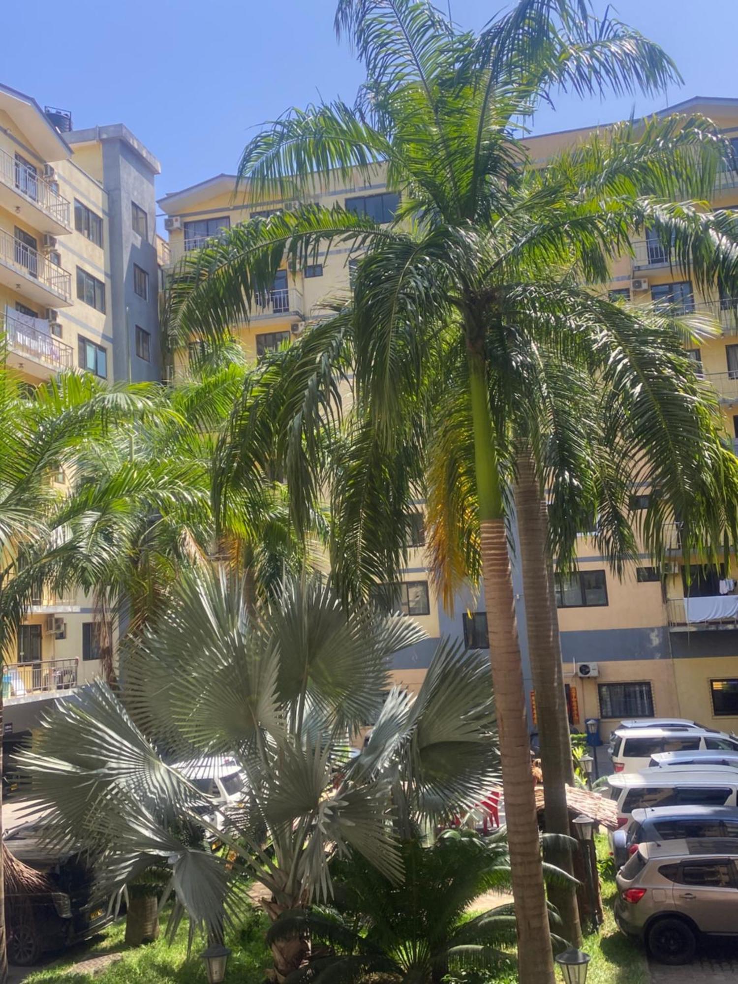 Masaki Anne House Of Realty Dar es Salaam